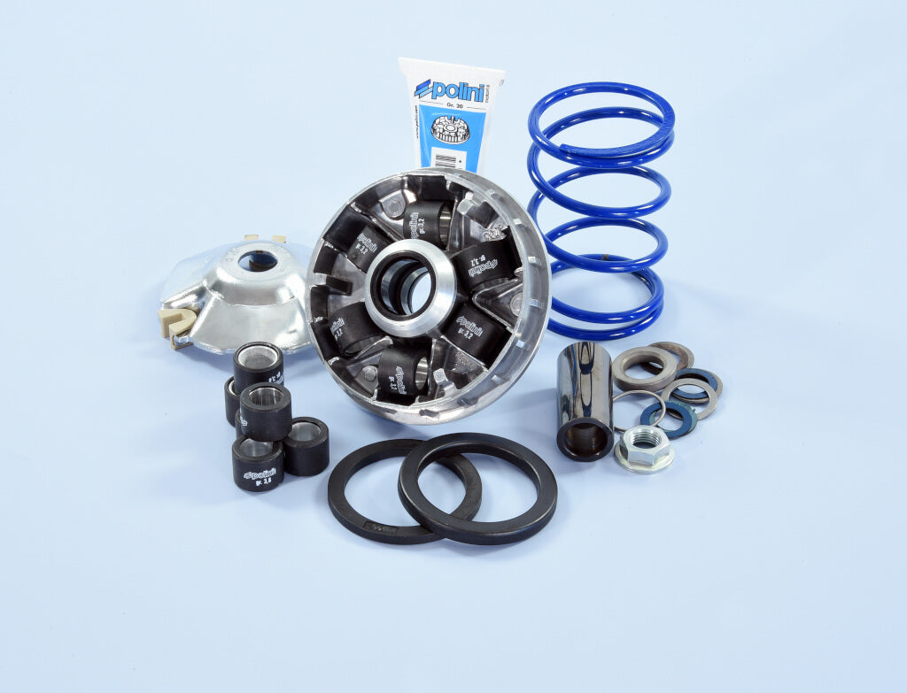 VARIATOR HI-SPEED PIAGGIO EVO 2 D.16