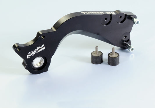 SWING ARM TORSEN WD POLINI ENGINEPIAGGIO