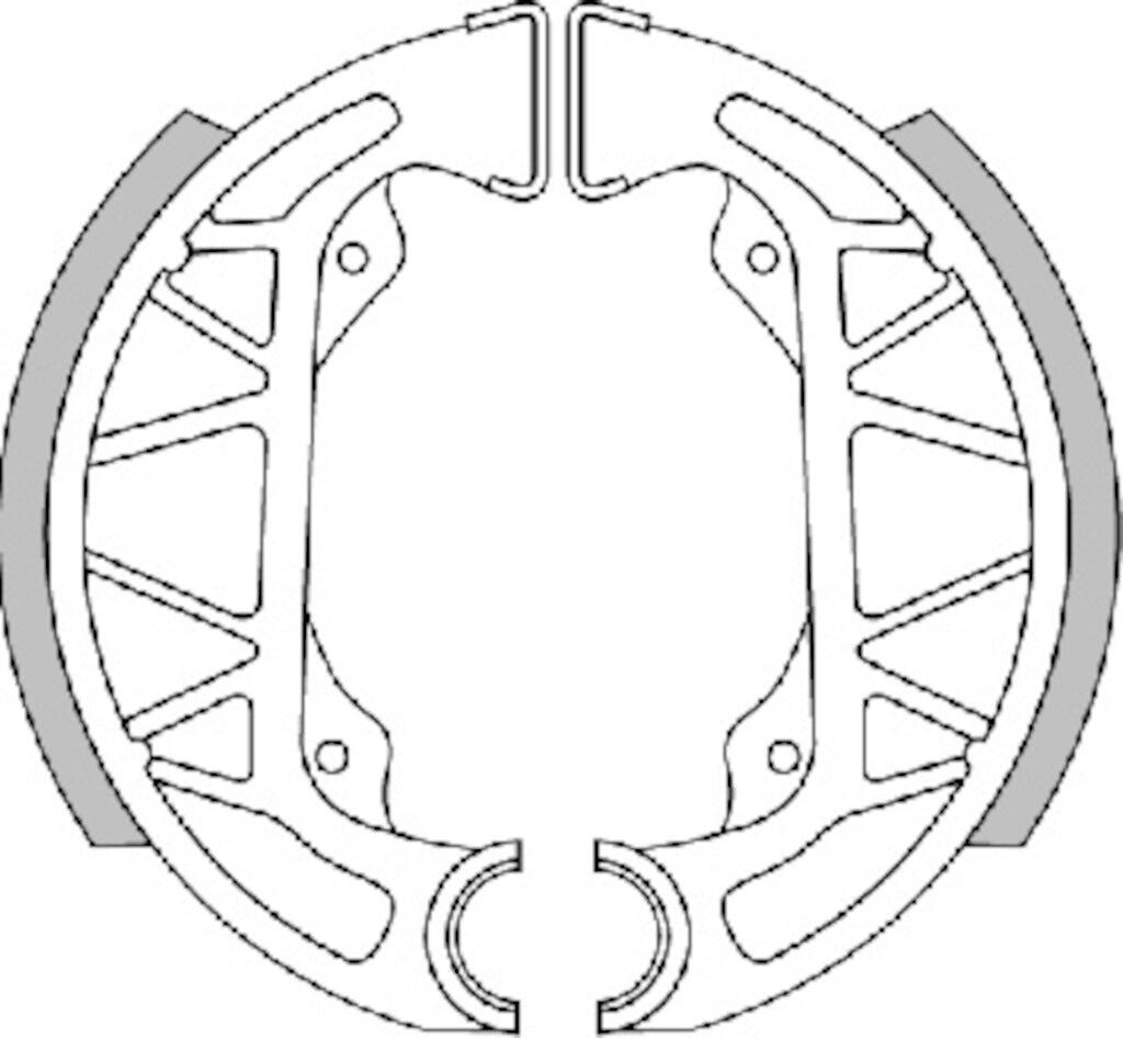 BRAKE SHOES D. 100X20 (WITH SPRINGS)