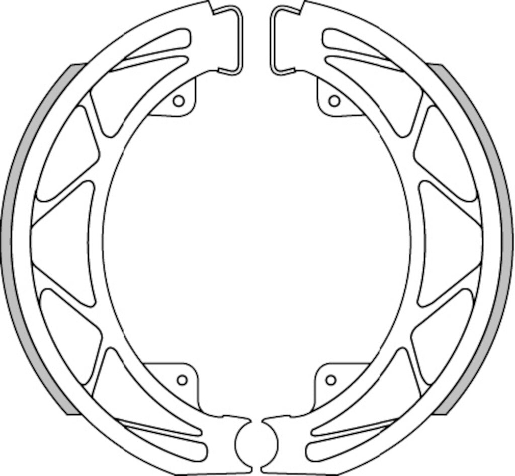 BRAKE SHOES D. 140X25 (WITH SPRINGS)