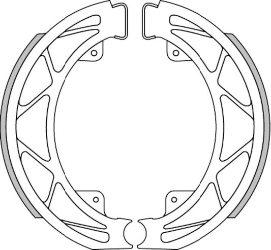 BRAKE SHOES D. 140X25 (WITH SPRINGS)