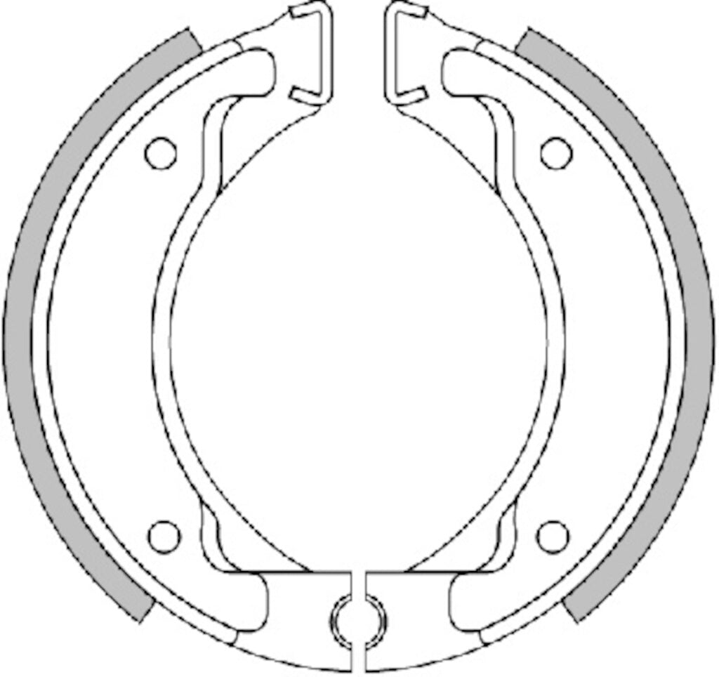 BRAKE SHOES D. 110X25 (WITH SPRINGS)