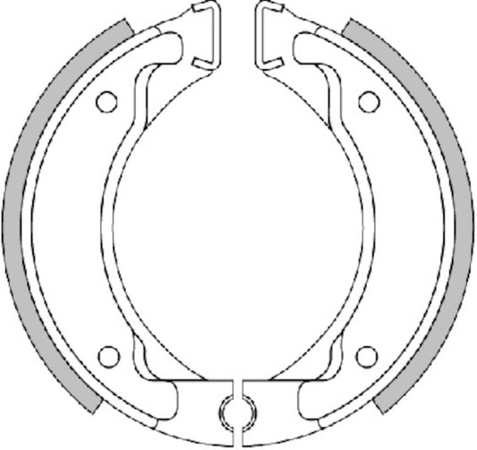 BRAKE SHOES D. 110X25 (WITH SPRINGS)