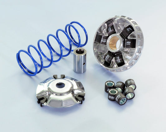 VARIATOR SYM SYMPHONY 125/150(VARIATOR PIN D.17)