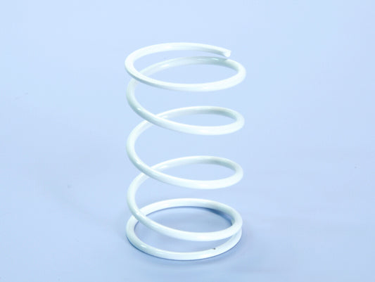SPRING FOR HONDA D.4.1