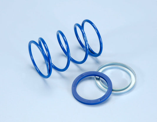 SPRING EVO SLIDER PIAGG.4