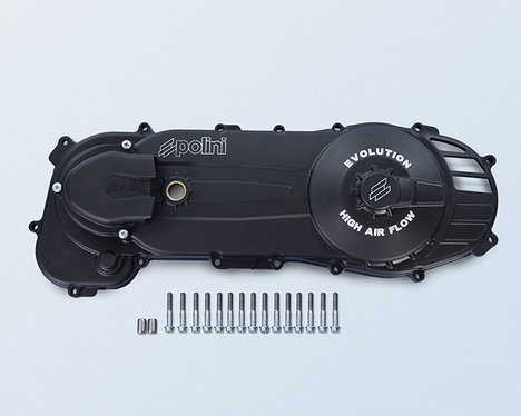 170.0311 Transmission cover, short casing, 10-inch wheel PIAGGIO ZIP