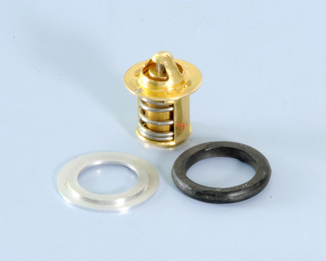 928.830.009 THERMOSTAT THOR 250/303